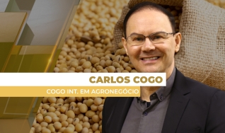 Carlos Cogo - Cogo Inteligência em Agronegócio