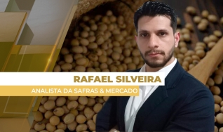 Rafael Silveira - Analista de Soja na Safras & Mercado