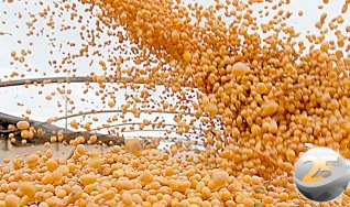 Marcos Araújo - Analista da Agrinvest