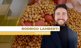 Rodrigo Lamberti - Especialista em Gestão de Riscos para Grãos da Hedgepoint