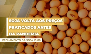 Donalvan Maia - CEO da Fox Grãos