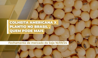 Ginaldo de Sousa - Diretor Geral do Grupo Labhoro