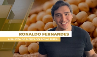 Ronaldo Fernandes - Analista de Mercado Royal Rural