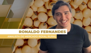 Ronaldo Fernandes - Analista de Mercado Royal Rural
