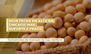 Vlamir Brandalizze - Consultor de Mercado da Brandalizze Consulting