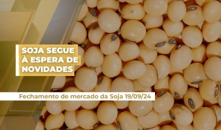 Raphael Mandarino - Diretor da AgResource Brasil