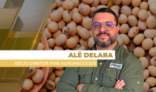 Alê Delara - Sócio Diretor da Pine Agronegócios