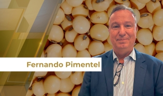 Fernando Pimentel - Sócio Diretor da Agrometrika