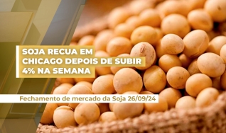 Alê Delara - Sócio Diretor da Pine Agronegócios