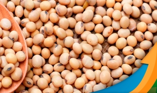 Eduardo Vanin - Analista de Mercado da Agrinvest