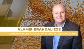 Vlamir Brandalizze - Consultor de Mercado da Brandalizze Consulting