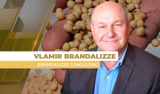 Vlamir Brandalizze - Consultor de Mercado da Brandalizze Consulting