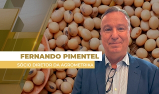 Fernando Pimentel - Sócio Diretor da Agrometrika