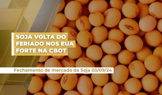 Cristiano Palavro - Diretor da Pátria Agronegócios