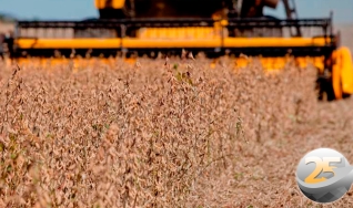 José Domingos Teixeira - Engenheiro Agrônomo e Consultor Aprosoja RS