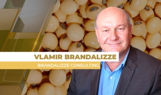 Vlamir Brandalizze - Consultor de Mercado da Brandalizze Consulting