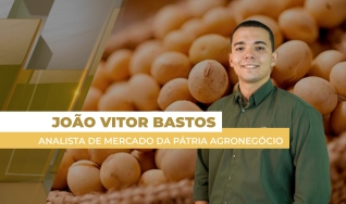 João Vitor Bastos - Analista de Mercado da Pátria Agronegócio