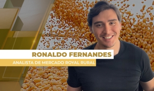 Ronaldo Fernandes - Analista de Mercado Royal Rural