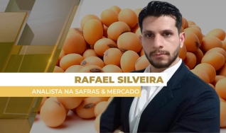 Rafael Silveira - Analista de Soja na Safras & Mercado