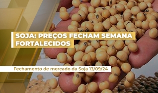 Carlos Cogo - Cogo Inteligência em Agronegócio