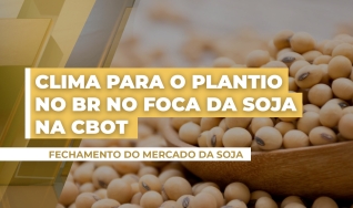 Cristiano Palavro - Diretor da Pátria Agronegócios