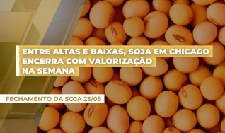 Ronaldo Fernandes - Analista de Mercado Royal Rural