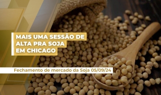 Luiz Fernando Gutierrez - Consultor da Safras & Mercado