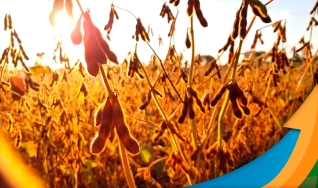 Carlos Cogo - Sócio-Diretor da Consultoria Cogo Inteligência em Agronegócio