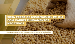 Ronaldo Fernandes - Analista de Mercado Royal Rural