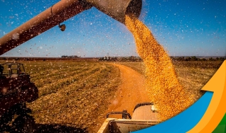 Juliano Lambrecht - Produtor Rural na Região de Ijuí/RS