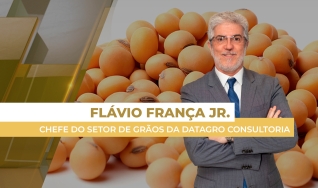Flávio França Jr. - Chefe do Setor de Grãos da Datagro Consultoria
