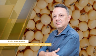 Ênio Fernandes - Consultor em Agronegócio da Terra Agronegócios