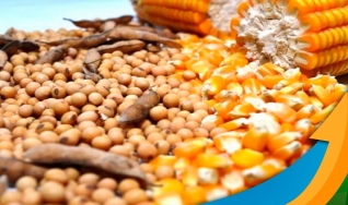 Eduardo Vanin - Analista de Mercado da Agrinvest