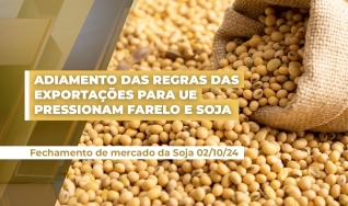 Alê Delara - Sócio Diretor da Pine Agronegócios