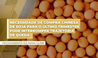 Julio Lombardi - Head de Originação, Trading e Research na Biond Agro