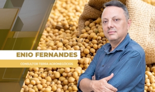 Enio Fernandes - Consultor Terra Agronegócios