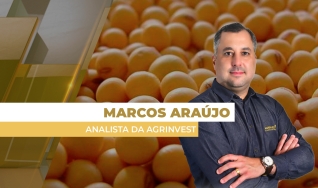 Marcos Araújo - Analista da Agrinvest