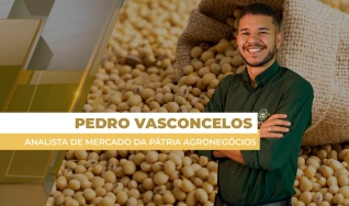 Pedro Vasconcelos - Analista de Mercado da Pátria Agronegócios