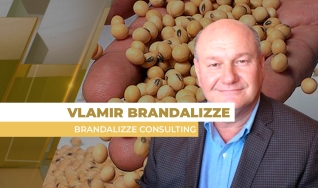 Vlamir Brandalizze - Consultor de Mercado da Brandalizze Consulting