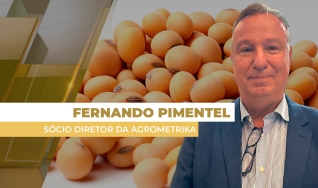 Fernando Pimentel - Sócio Diretor da Agrometrika