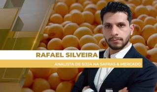 Rafael Silveira - Analista de Soja na Safras & Mercado