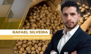 Rafael Silveira - Analista de Soja na Safras & Mercado