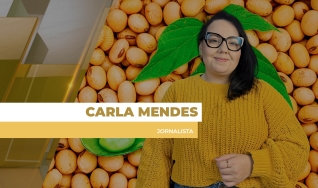 Carla Mendes - Jornalista