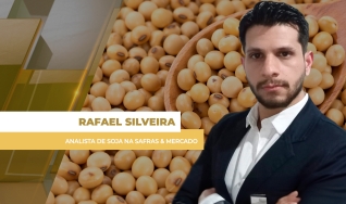 Rafael Silveira - Analista de Soja na Safras & Mercado