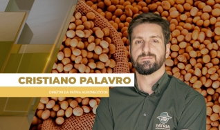 Cristiano Palavro - Diretor da Pátria Agronegócios