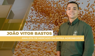 João Vitor Bastos - Analista de Mercado da Pátria Agronegócio