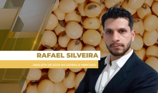 Rafael Silveira - Analista de Soja na Safras & Mercado