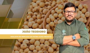 João Teodoro - Analista de Mercado da Patria Agro Negocio