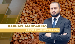 Raphael Mandarino - Diretor da AgResource Brasil