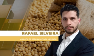 Rafael Silveira - Analista de Soja na Safras & Mercado